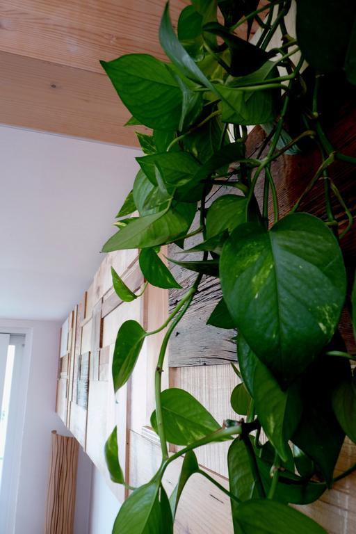 B&B Casa Sul Lago - Appartamenti Calceranica al Lago Habitación foto