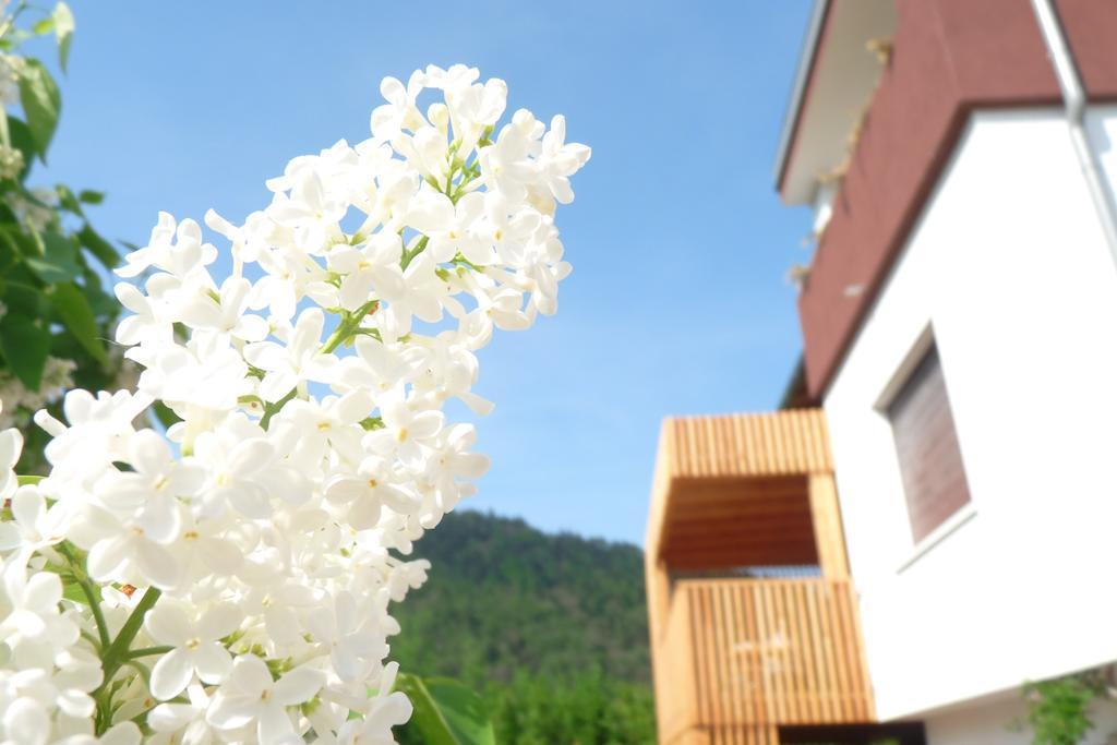 B&B Casa Sul Lago - Appartamenti Calceranica al Lago Habitación foto